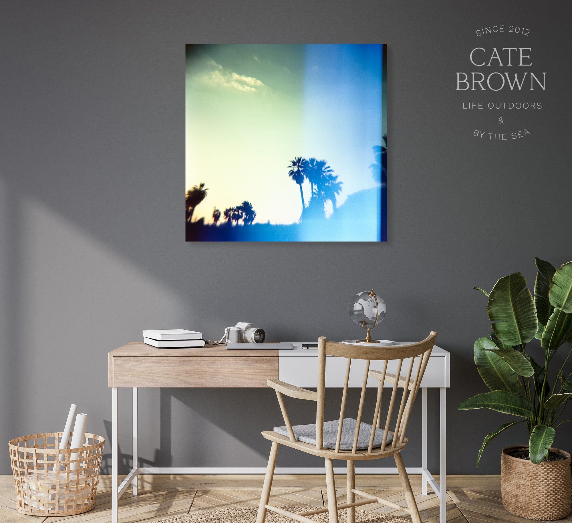 Cate Brown Photo Canvas / 16"x16" / None (Print Only) Baja Palms #2  //  Film Photography Made to Order Ocean Fine Art