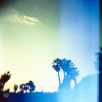 Cate Brown Photo Baja Palms #2  //  Film Photography Made to Order Ocean Fine Art
