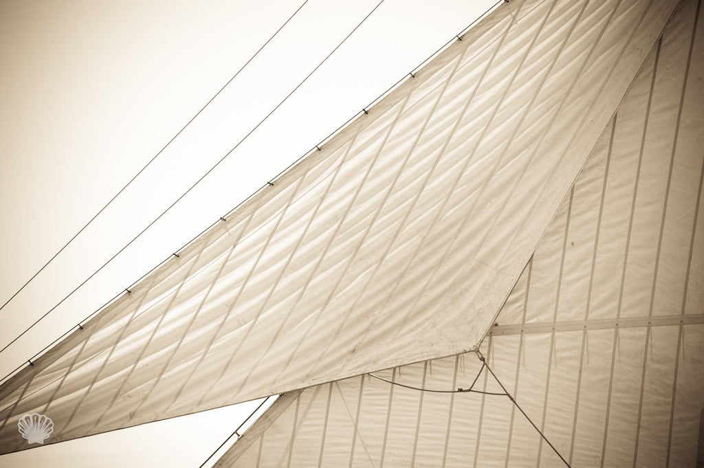 Cate Brown Photo Canvas Sails #2  //  Nautical Photography Made to Order Ocean Fine Art