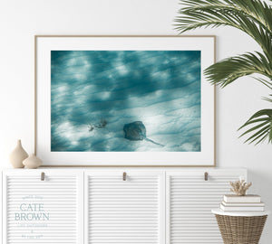 Cate Brown Photo Fine Art Print / 8"x12" / None (Print Only) Caribbean Shallows  //  Ocean Photography Made to Order Ocean Fine Art