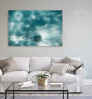 Cate Brown Photo Canvas / 16"x24" / None (Print Only) Caribbean Shallows  //  Ocean Photography Made to Order Ocean Fine Art
