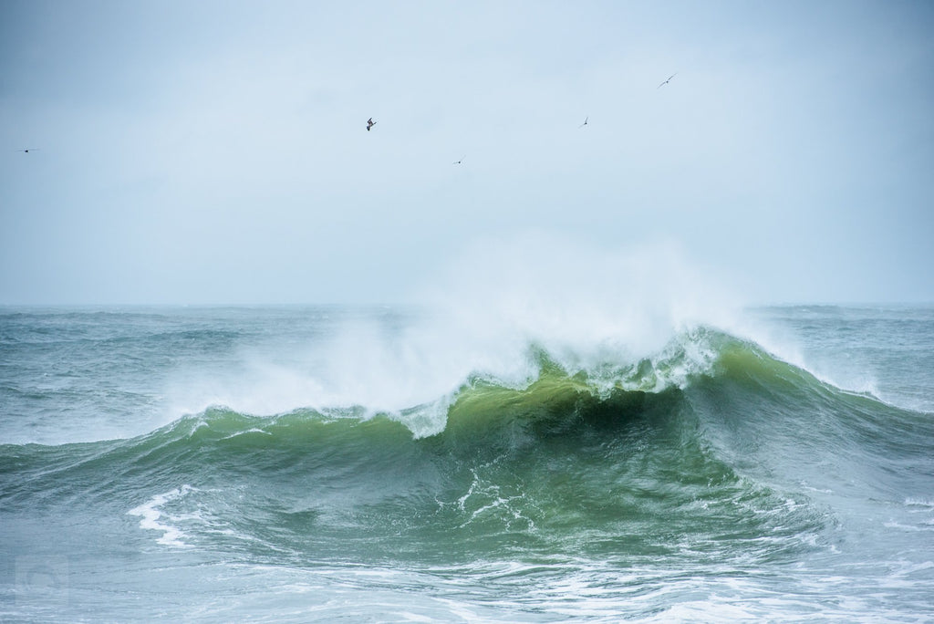 Cate Brown Photo Jose Raging  //  Ocean Photography Made to Order Ocean Fine Art
