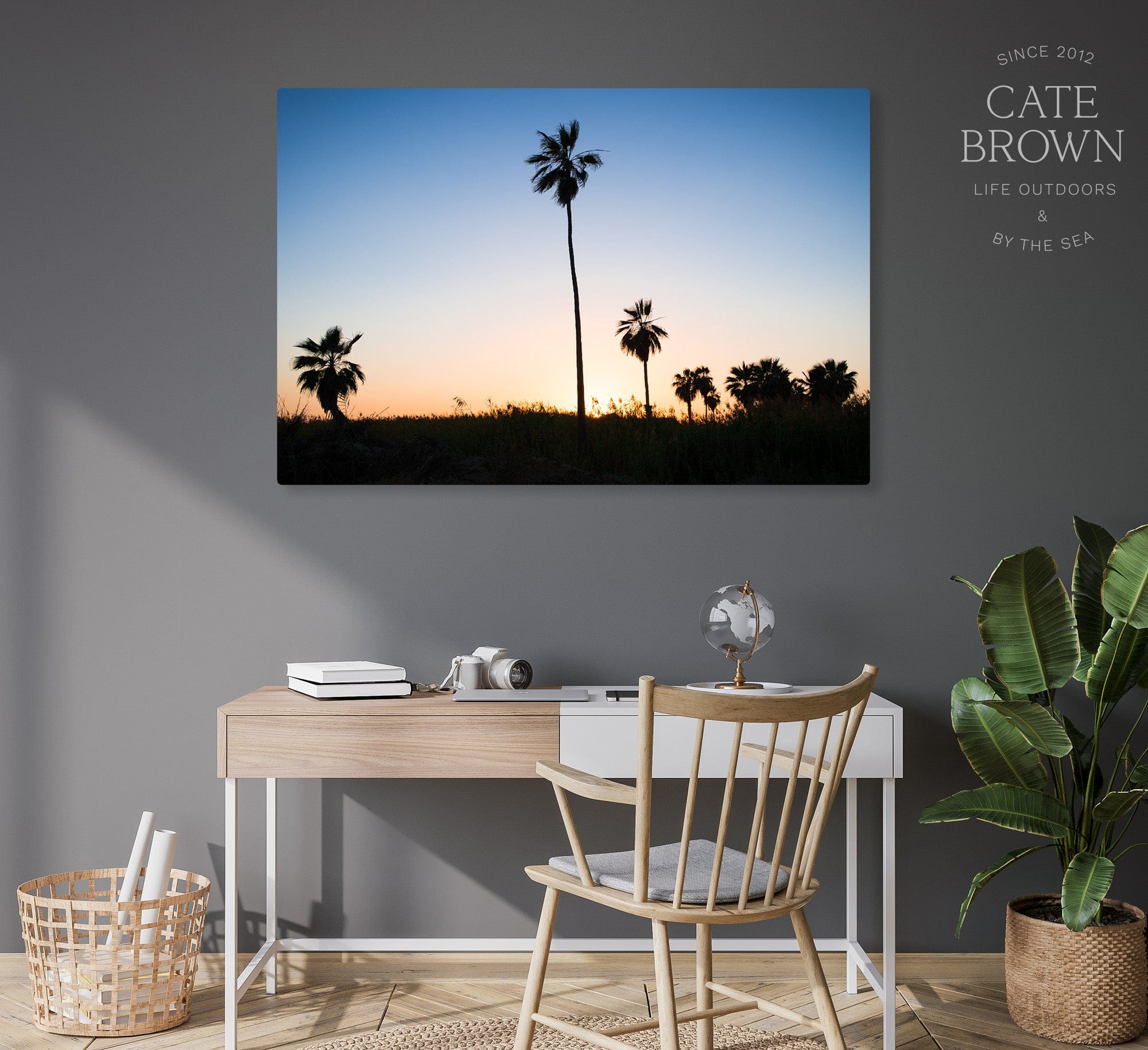 Cate Brown Photo Canvas / 27"x40" / Float Frame Baja Palms #1  //  Landscape Photography Made to Order Ocean Fine Art