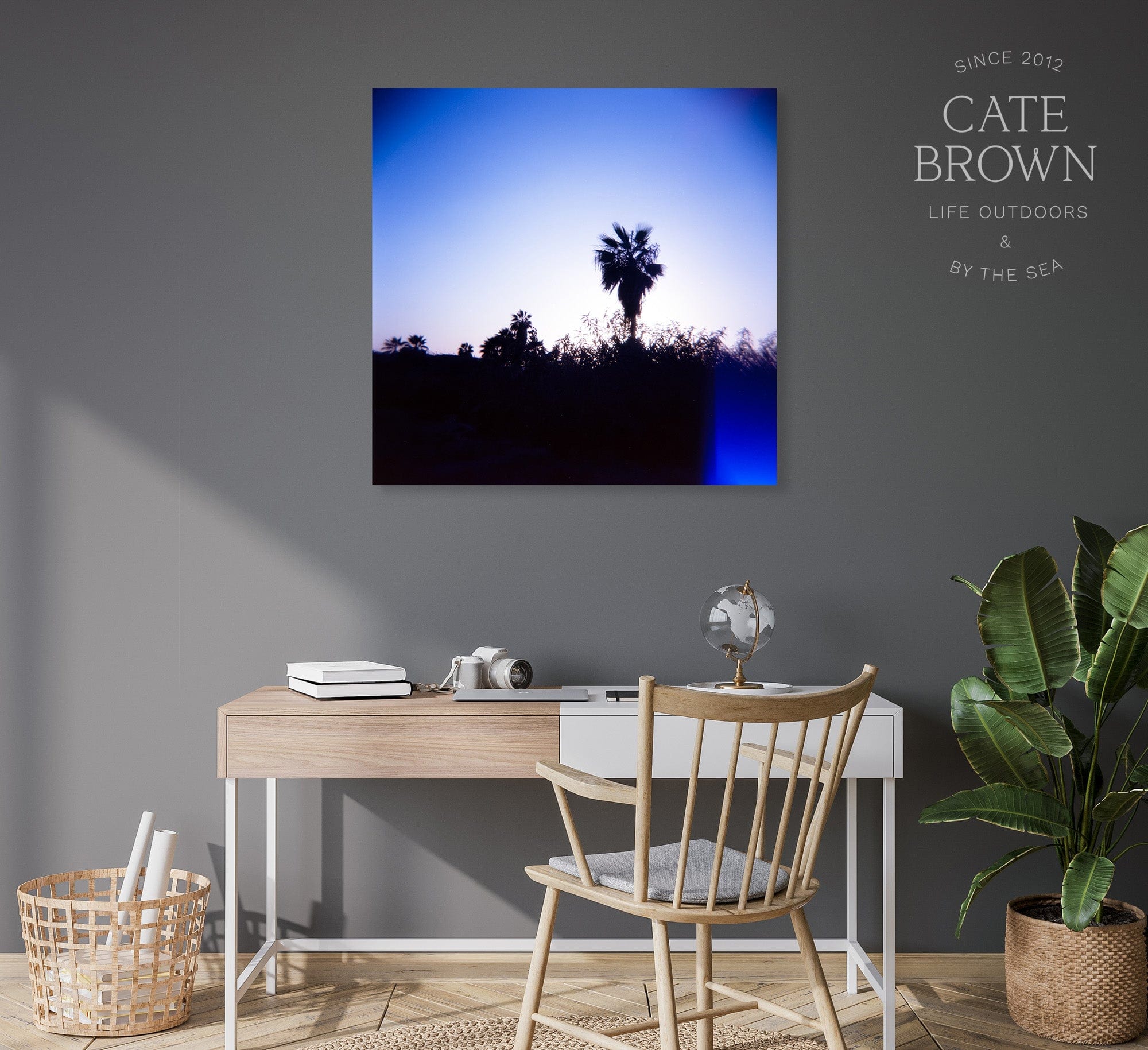 Cate Brown Photo Canvas / 16"x16" / None (Print Only) Baja Palms #3  //  Film Photography Made to Order Ocean Fine Art