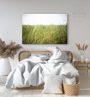 Cate Brown Photo Canvas / 16"x24" / None (Print Only) Beach Grass in the Wind  //  Landscape Photography Made to Order Ocean Fine Art