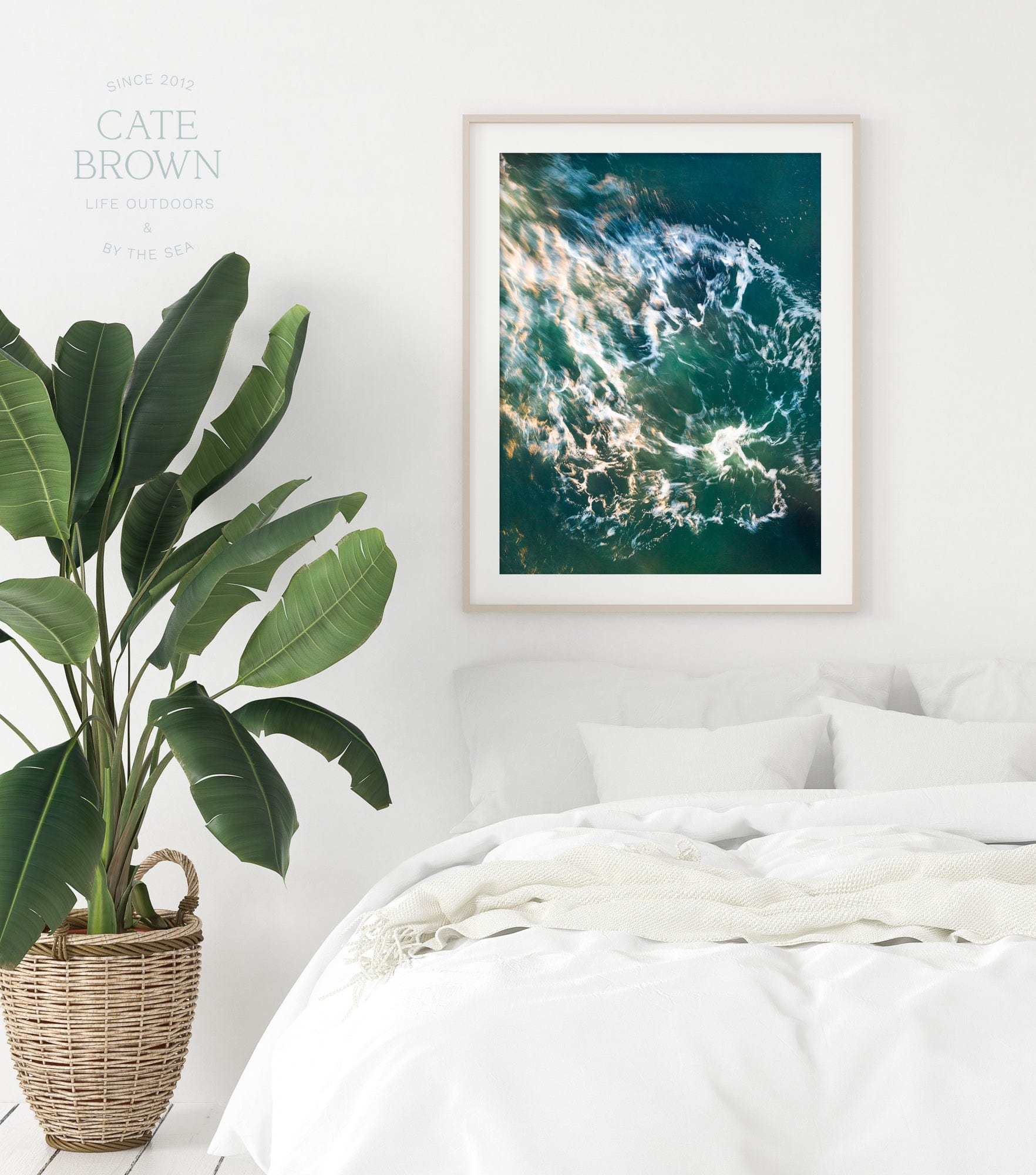 Cate Brown Photo Fine Art Print / 8"x12" / None (Print Only) Beavertail Soft #3  //  Abstract Photography Made to Order Ocean Fine Art