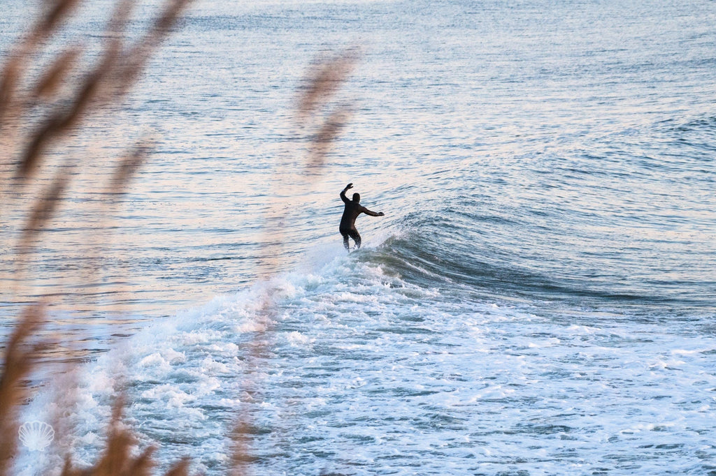 Cate Brown Photo Curtis and the Reeds  //  Surf Photography Made to Order Ocean Fine Art