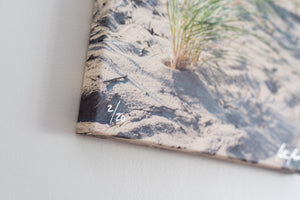 Cate Brown Photo Beach Grass #1 // Photo on Canvas 16x20" // Limited Edition 2 of 20 Available Inventory Ocean Fine Art