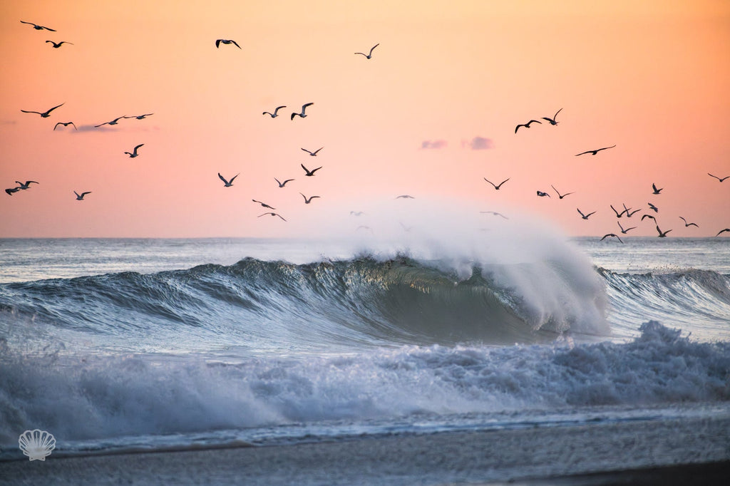 Cate Brown Photo For the Birds  //  Seascape Photography Made to Order Ocean Fine Art