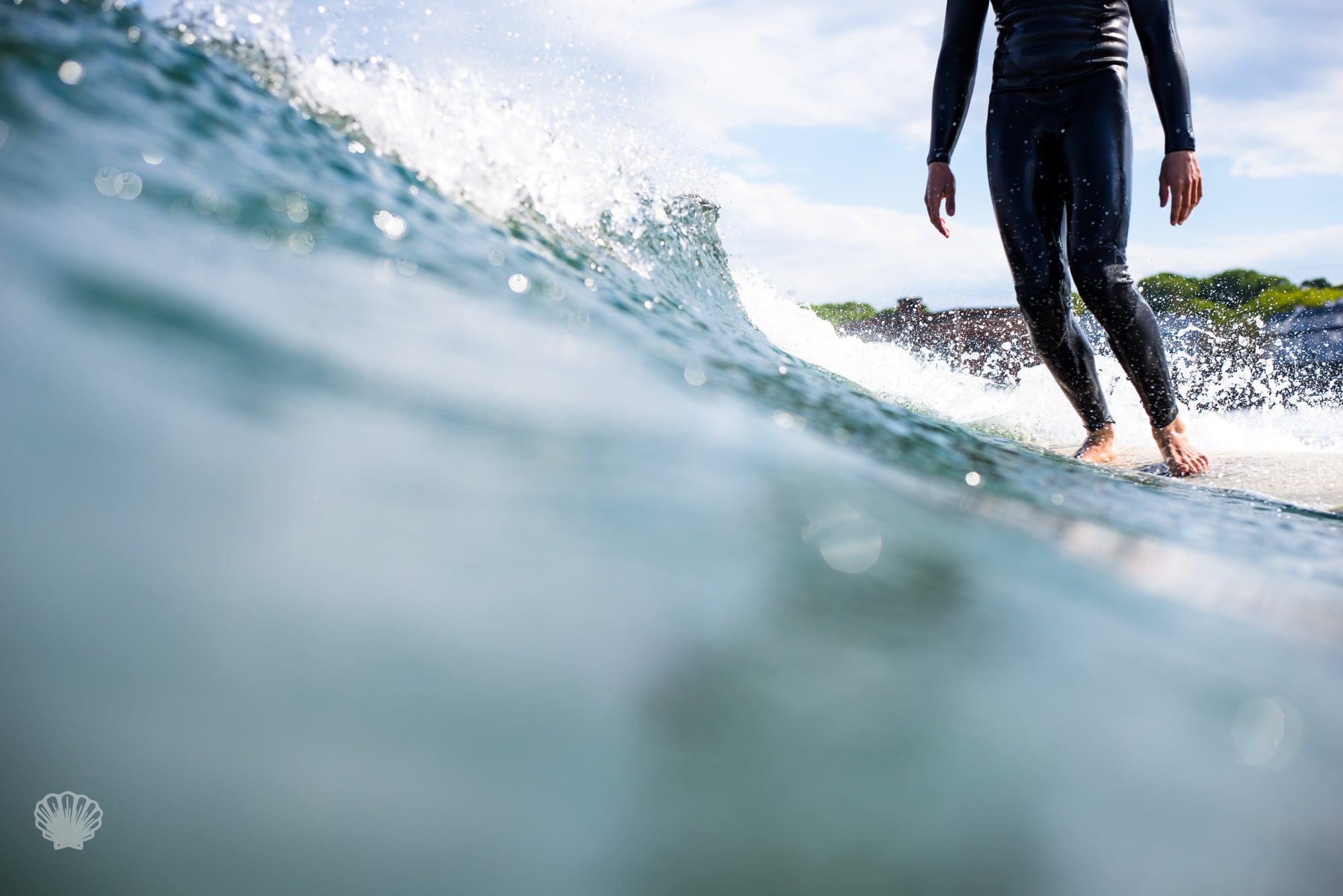 Cate Brown Photo Gus at Gansett  //  Surf Photography Made to Order Ocean Fine Art