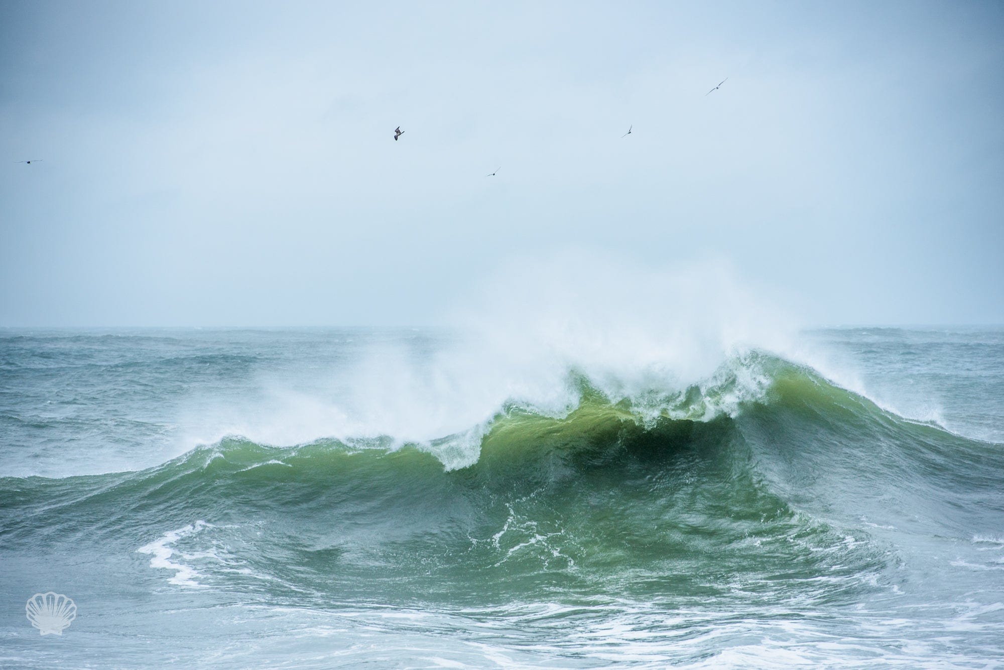 Cate Brown Photo Jose Raging  //  Seascape Photography Made to Order Ocean Fine Art