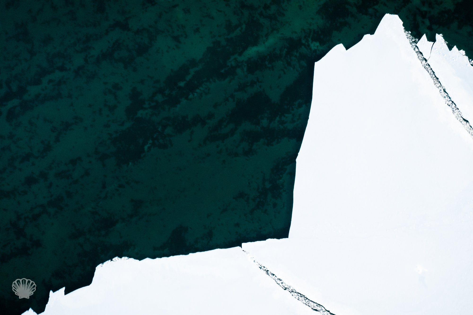 Cate Brown Photo Majestic Fragility #4  //  Aerial Photography Made to Order Ocean Fine Art