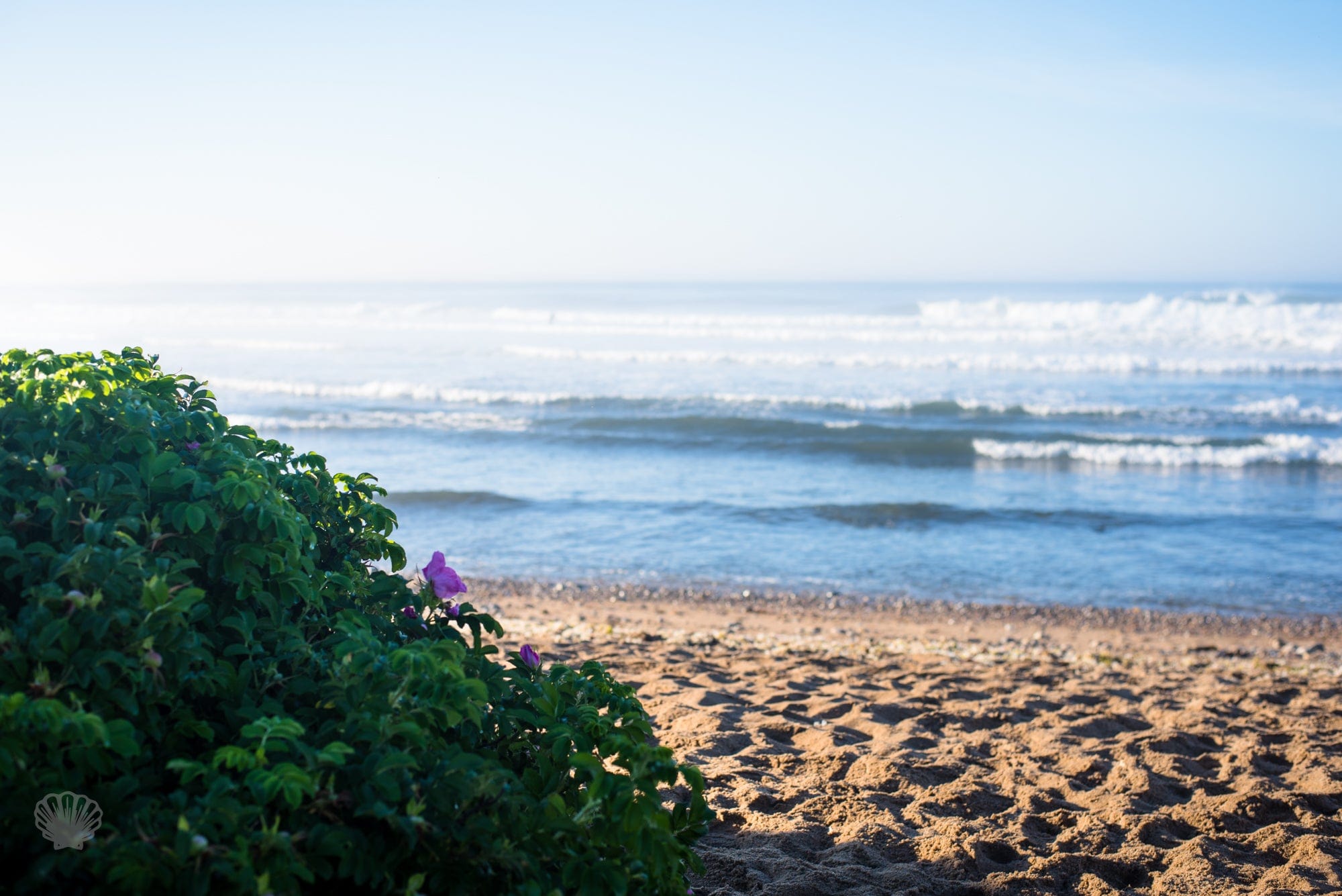 Cate Brown Photo Matunuck in Early Morning  //  Landscape Photography Made to Order Ocean Fine Art