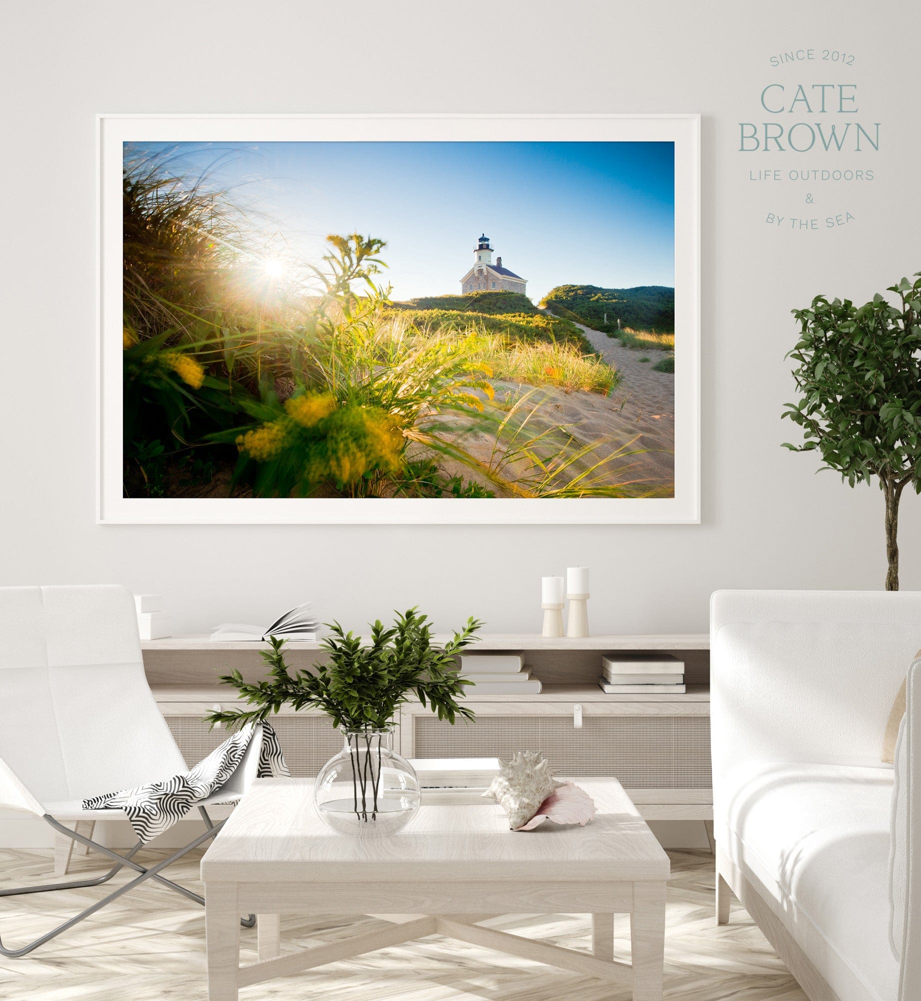 Cate Brown Photo Fine Art Print / 8"x12" / None (Print Only) North Light in Morning #2  //  Landscape Photography Made to Order Ocean Fine Art