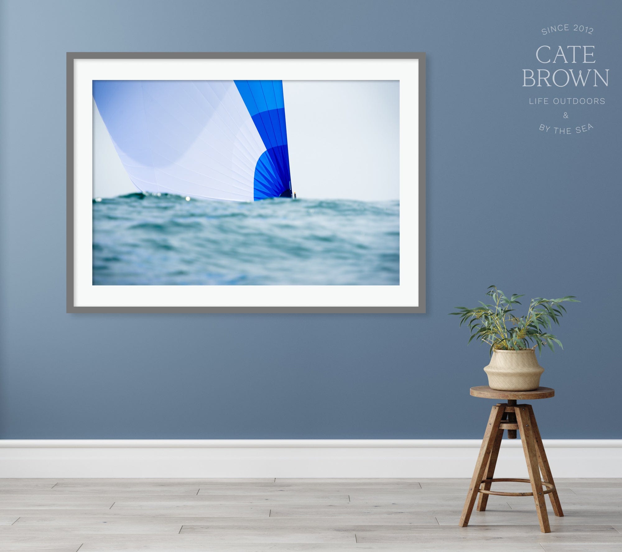 Cate Brown Photo Fine Art Print / 8"x12" / None (Print Only) Ocean Spinnakers  //  Nautical Photography Made to Order Ocean Fine Art