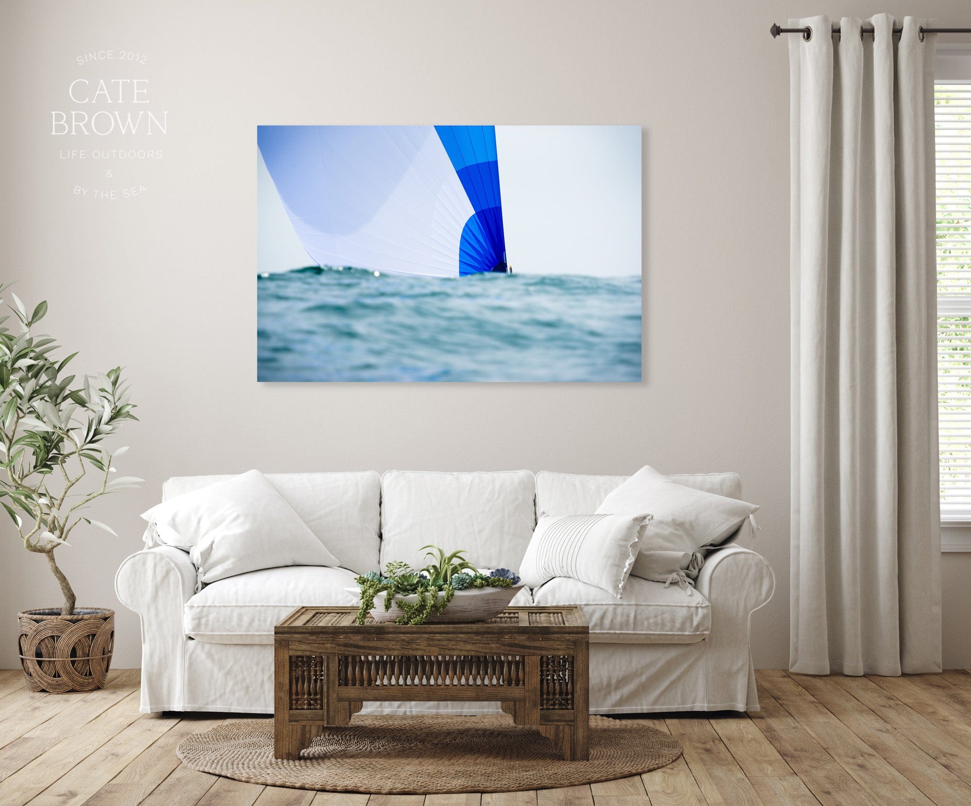 Cate Brown Photo Canvas / 16"x24" / None (Print Only) Ocean Spinnakers  //  Nautical Photography Made to Order Ocean Fine Art