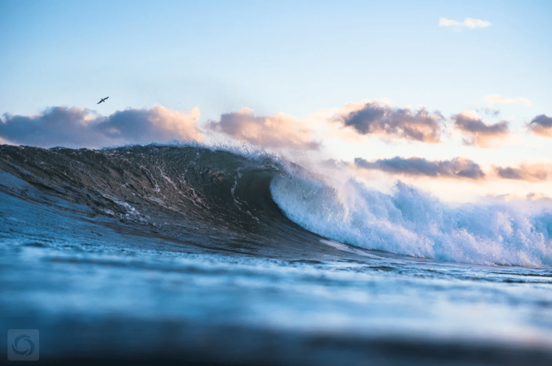 Cate Brown Photo Sunset at the Point // Matted Mini Print 11x14" Available Inventory Ocean Fine Art