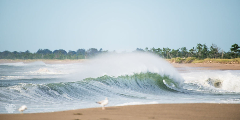 Cate Brown Photo Shores Unknown // Photo on Canvas 20x40" // Limited Edition 1 of 50 Shores Unknown // Photo on Canvas 20x40" // Limited Edition 1 of 50 Available Inventory Ocean Fine Art