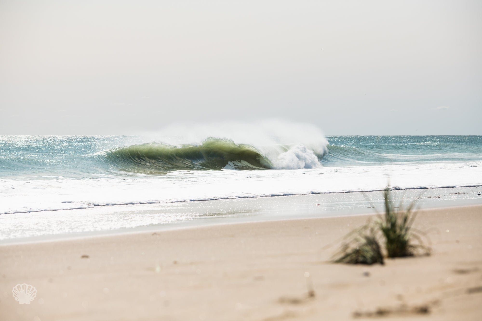 Cate Brown Photo Teddy Beach Days  //  Seascape Photography Made to Order Ocean Fine Art