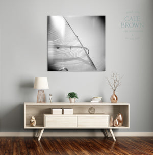 Cate Brown Photo Canvas / 16"x16" / None (Print Only) Wishboom  //  Film Photography Made to Order Ocean Fine Art