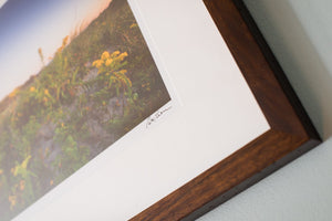 Cate Brown Photo North Light in the Dunes // Framed Fine Art 14x18" // Open Edition Available Inventory Ocean Fine Art