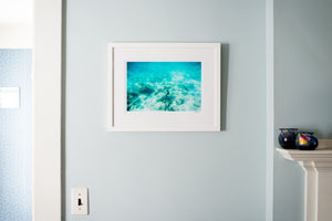 Cate Brown Photo Seafaring Friends // Framed Fine Art 14x18" // Open Edition Available Inventory Ocean Fine Art
