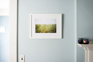 Cate Brown Photo Beach Grass in the Wind // Framed Fine Art 14x18" // Limited Edition 1 of 100 Available Inventory Ocean Fine Art