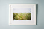 Cate Brown Photo Beach Grass in the Wind // Framed Fine Art 14x18" // Open Edition Available Inventory Ocean Fine Art