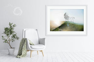 Cate Brown Photo Dune Lady  //  Fiercen Designs Made to Order Ocean Fine Art