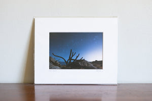 Cate Brown Photo Stars in the Baja Night // Matted Mini Print 8x10" Available Inventory Ocean Fine Art