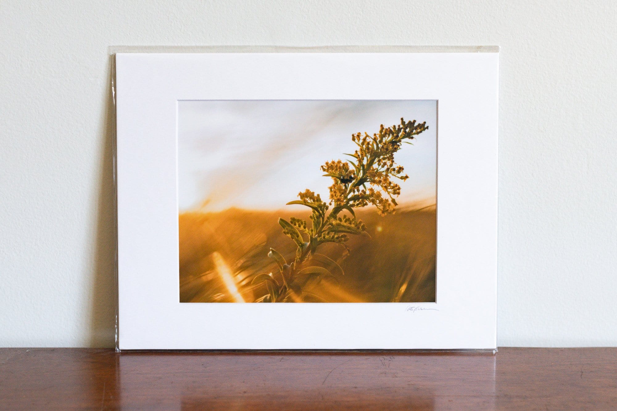 Cate Brown Photo Bumble Bee at Sunset // Matted Mini Print 11x14" Available Inventory Ocean Fine Art