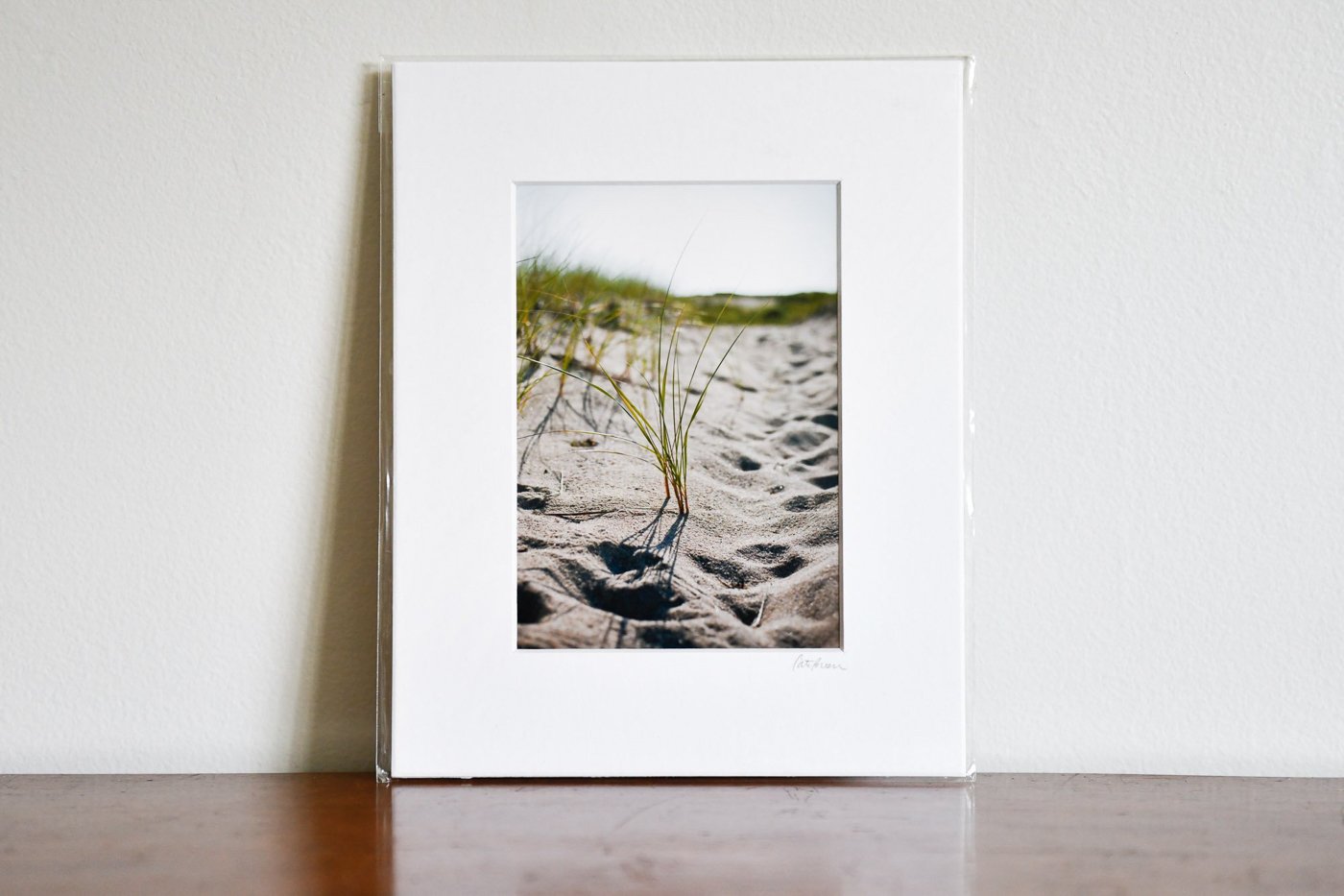 Cate Brown Photo Beach Grass #2 // Matted Mini Print 8x10" Available Inventory Ocean Fine Art