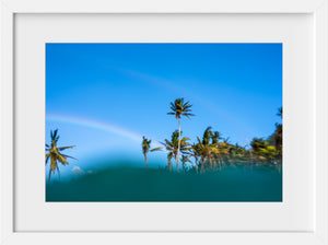 Cate Brown Photo Palms & Rainbows  //  Landscape Photography Made to Order Ocean Fine Art