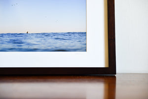 Cate Brown Photo Postcards from Chris // Framed Mini Print 11x14" Available Inventory Ocean Fine Art