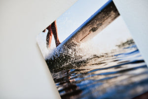 Cate Brown Photo Allen Surfing Chris // Metal Print 7x7" // Open Edition Available Inventory Ocean Fine Art