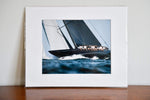 Cate Brown Photo Lionheart Upwind // Matted Mini Print 11x14" Available Inventory Ocean Fine Art